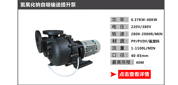 氢氧化钠输送提升泵图片