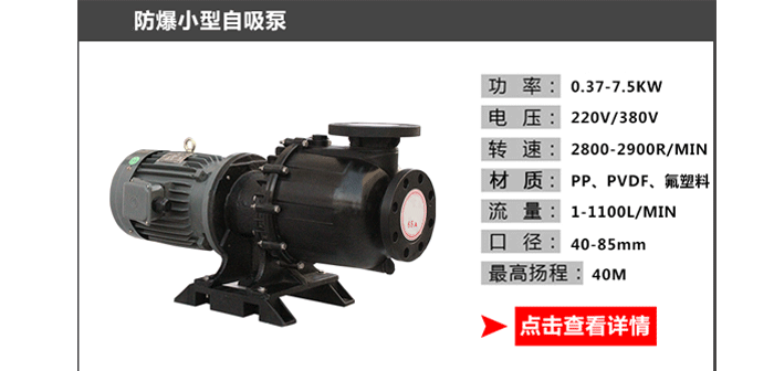 防爆小型自吸泵