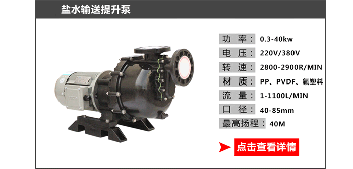 盐水溶液输送提升泵图片