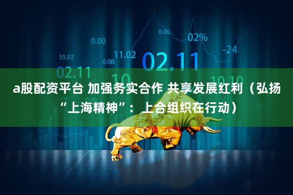a股配资平台 加强务实合作 共享发展红利（弘扬“上海精神”：上合组织在行动）
