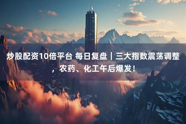 炒股配资10倍平台 每日复盘｜三大指数震荡调整，农药、化工午后爆发！