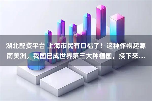 湖北配资平台 上海市民有口福了！这种作物起源南美洲，我国已成世界第三大种植国，接下来…
